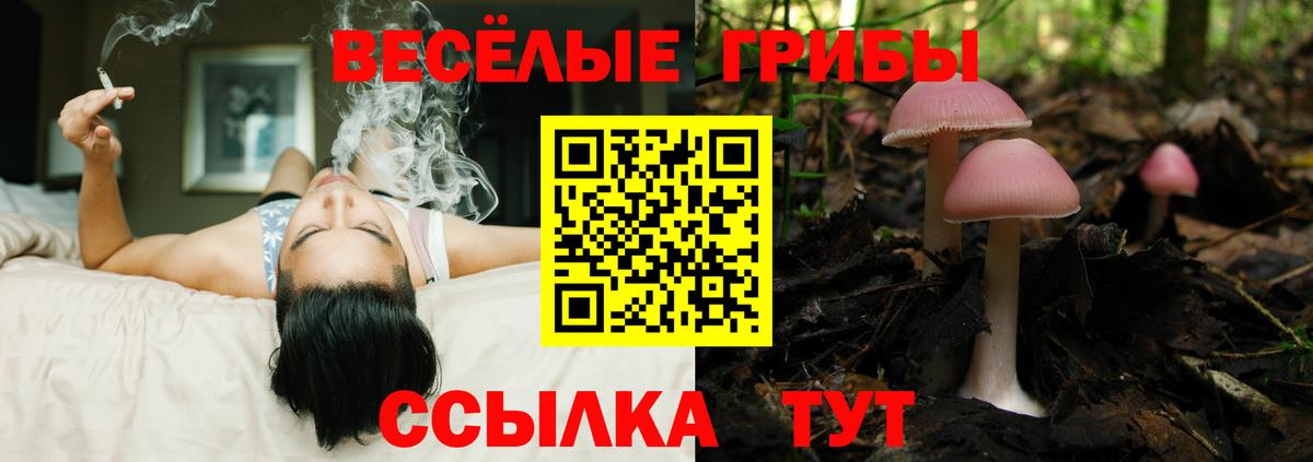 Галлюциногенные грибы мицелий  Псилоцибиновые грибы ЛСД  Свободный  Вход с VPN 